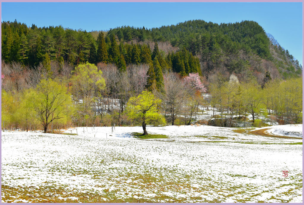 平成の名残り雪　1