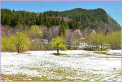 平成の名残り雪　1