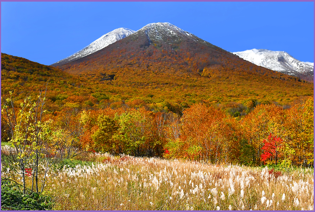 北八甲田.最晩秋Ⅱ