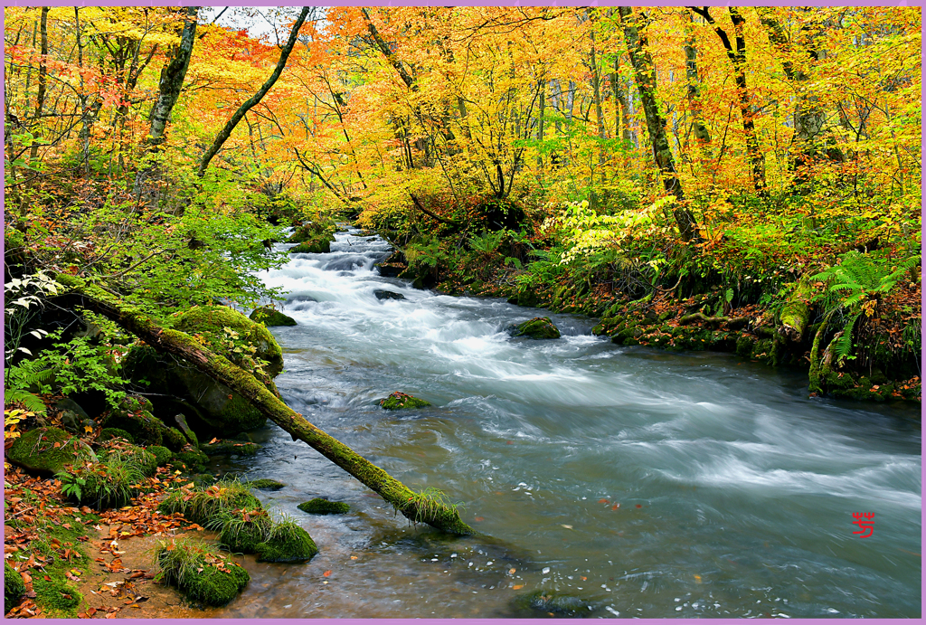 裏石ヶ戸の流れ