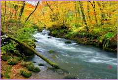 裏石ヶ戸の流れ