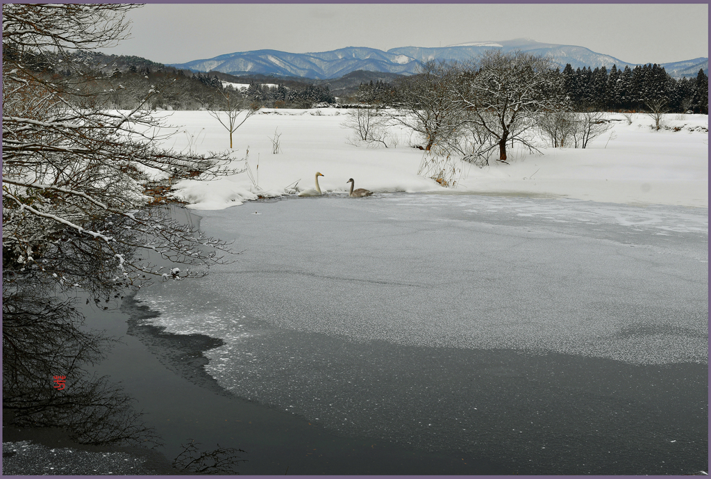 「沼の夜明け」