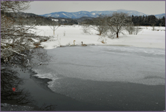 「沼の夜明け」