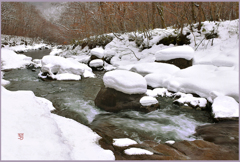 蔦渓流「修行僧」