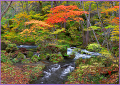 奥入瀬渓流「渓流庭園」