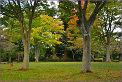 旧七戸城址「柏葉公園初紅葉」
