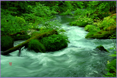 初夏.下石ヶ戸の流れ