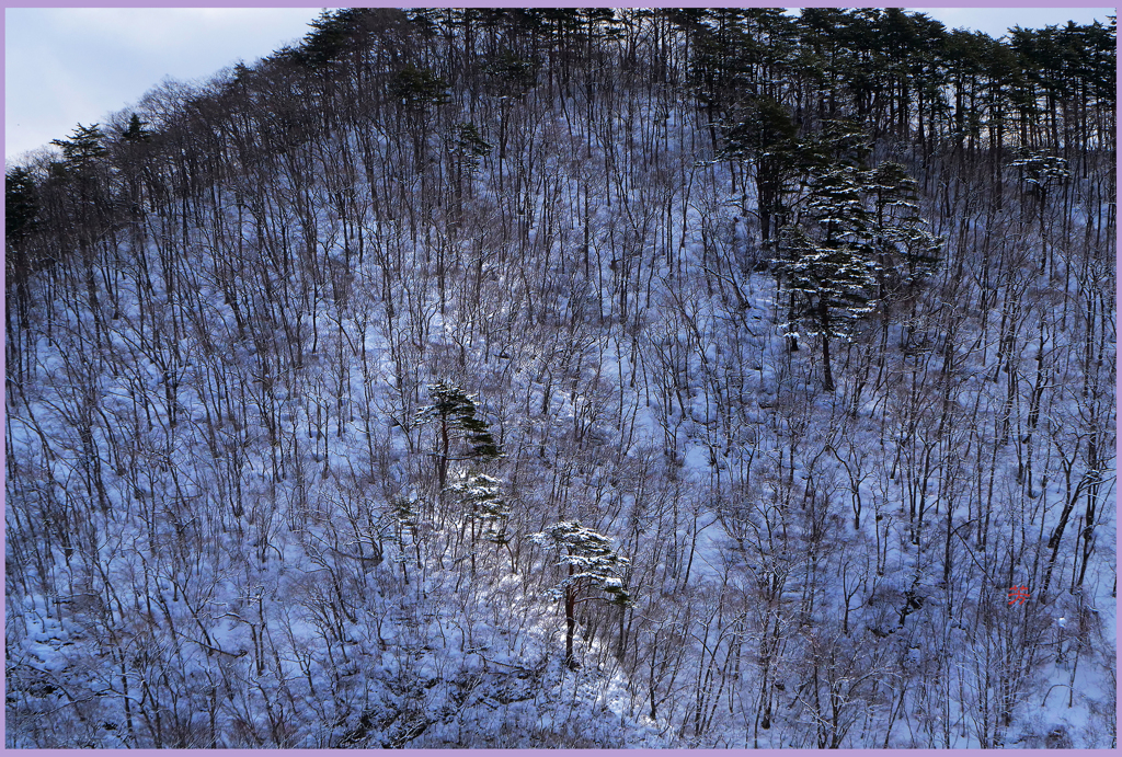 「旧姨捨山」