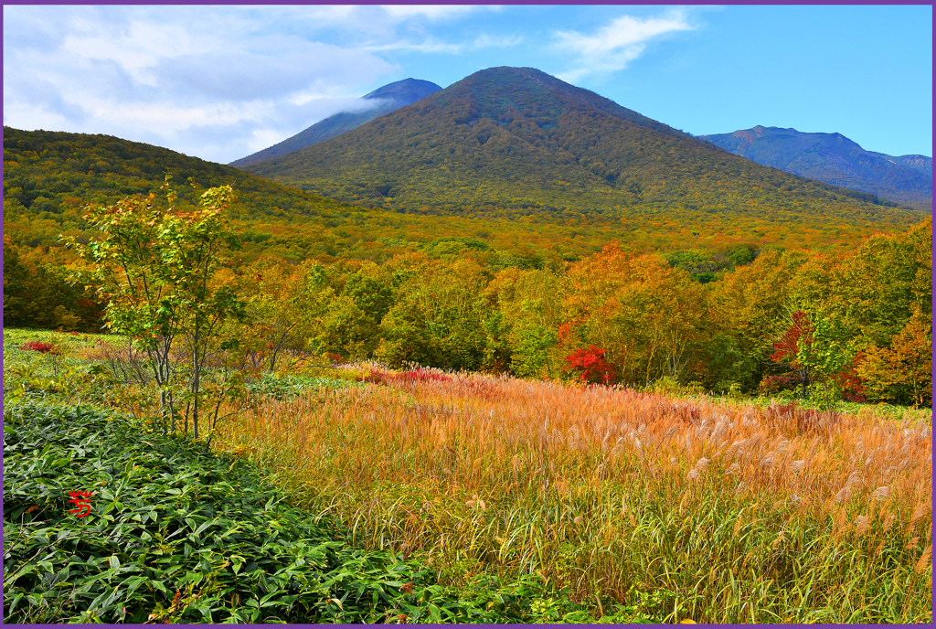 「八甲田山.雛岳紅葉」　1