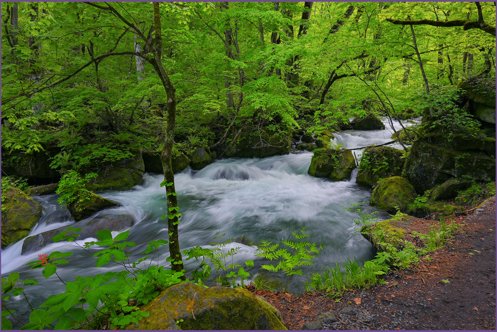 「本阿修羅の流れ」Ⅱ