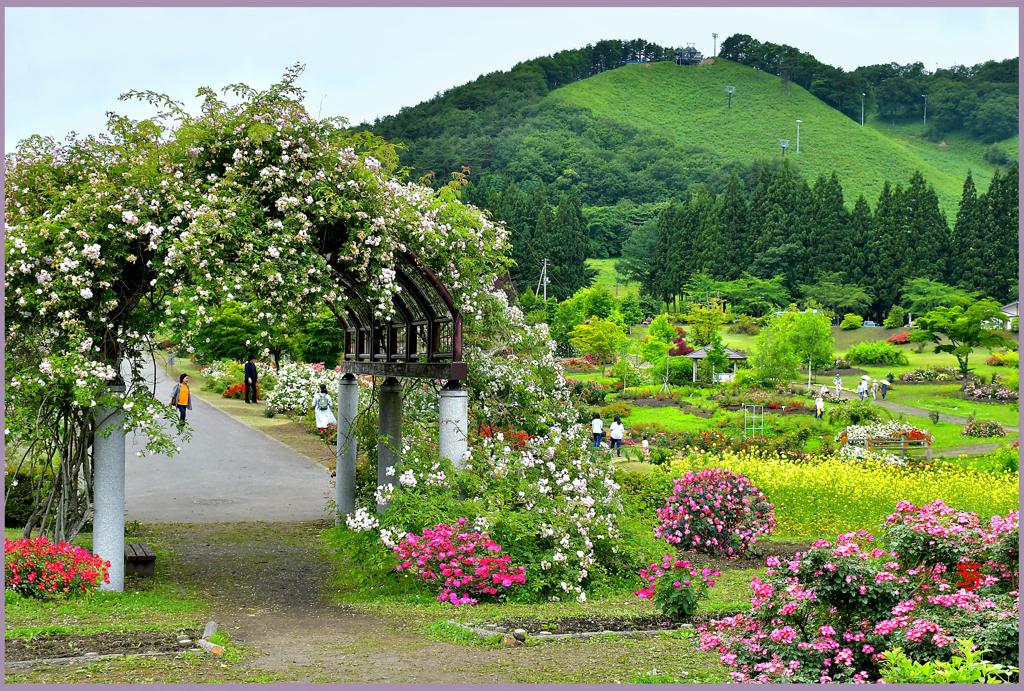東八甲田ローズカントリー　Ⅰ