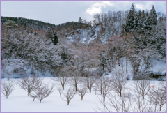 「雪化粧」