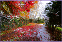 「落ち葉の路　2」