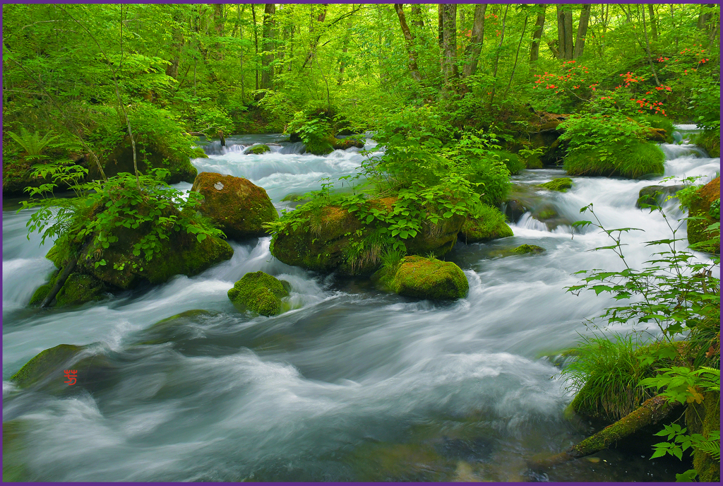 「新緑.上阿修羅の流れ　Ⅳ」