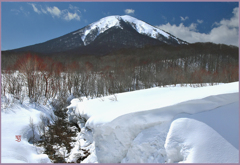 八甲田山　雛岳「春　陽」