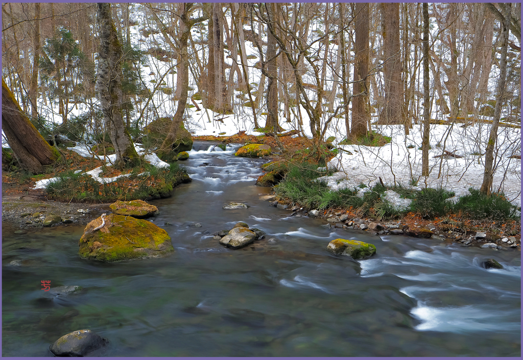 「早春の奥入瀬」
