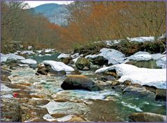 「蔦川早春 Ⅱ」