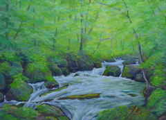 奥入瀬「新緑の阿修羅の流れ」 Ⅱ