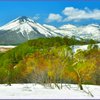 八甲田山「春紅葉」