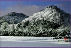 北東北慕情「新年新雪」