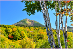 八甲田山紅葉（高田大岳）