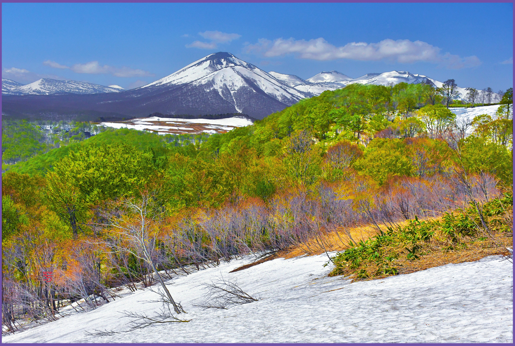 「若葉の八甲田山」