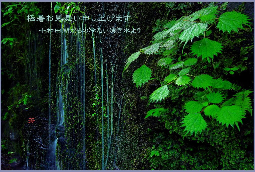「湧き水 」