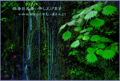 「湧き水 」