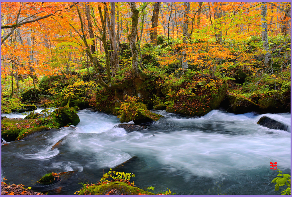 華宴.本阿修羅の流れ