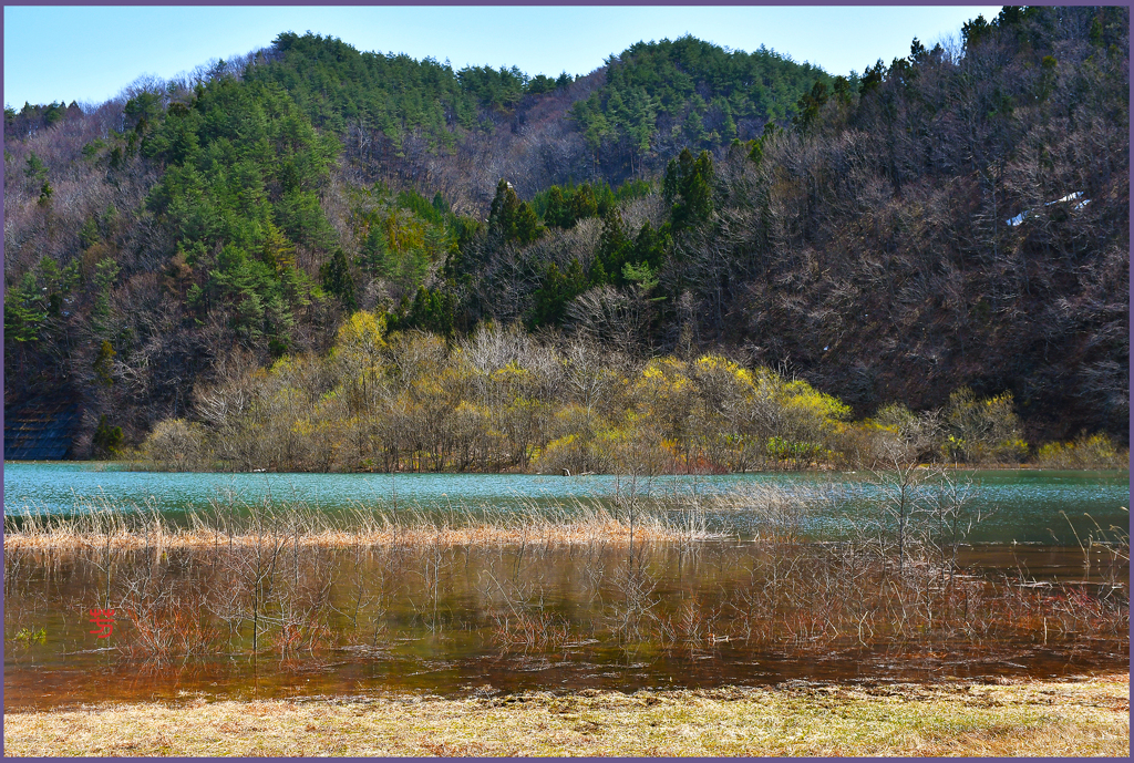 「ダム湖の寸景」