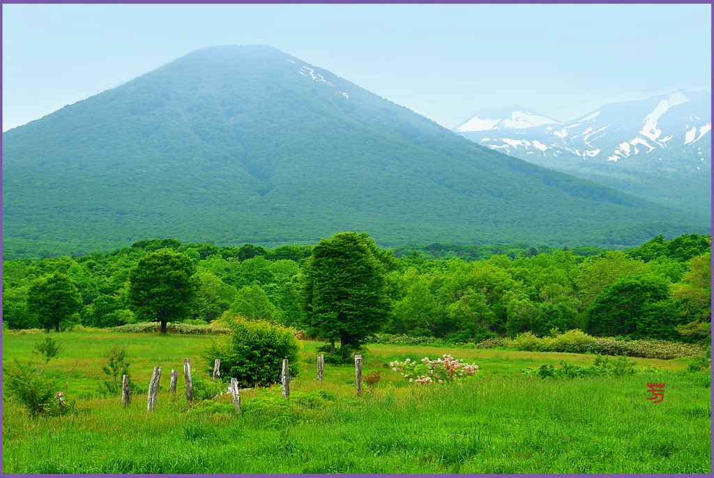 八甲田山「雛岳春霞」