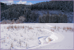 「雪晴れの朝　2」