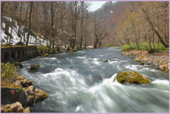 「2019　-紫明渓-（奥入瀬下流）Ⅱ