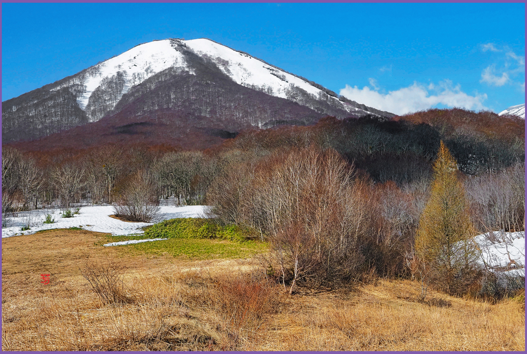 「残雪の雛岳」