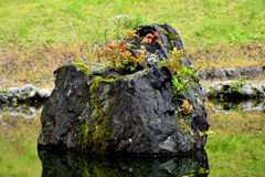 小さな秋 ミニ　Ⅱ