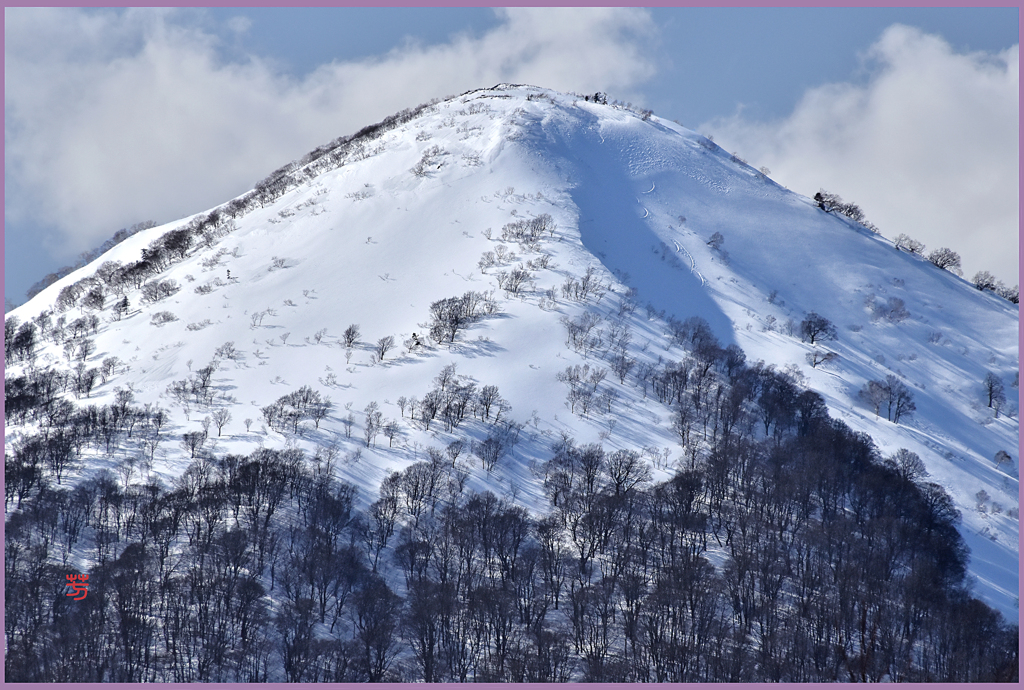 八甲田山　「雛岳春陽