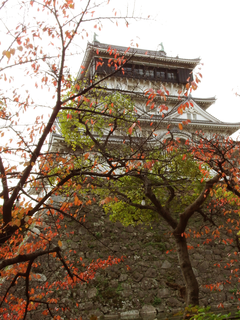 小倉城紅葉６