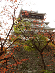小倉城紅葉６