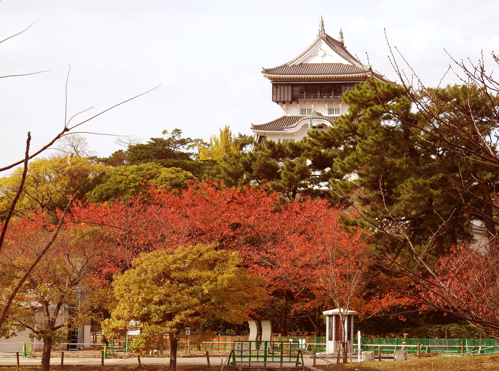 小倉城紅葉 By Kouji2525 Id 写真共有サイト Photohito