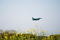 JASDF Tsuiki Airbase 築城基地