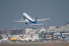 DSC08651