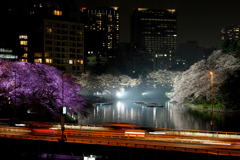 千鳥ヶ淵の夜桜