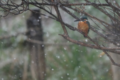 DSC_2108180321_a