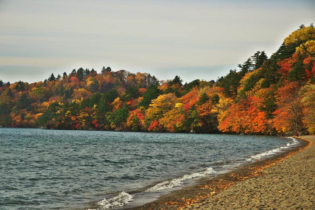 十和田湖の紅葉