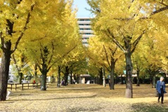 A4109893-BE15-490C-9D77-9F3CE417FDEF