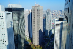 背比べ