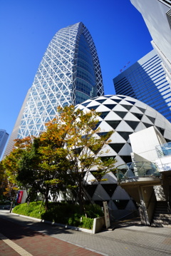 幾何学