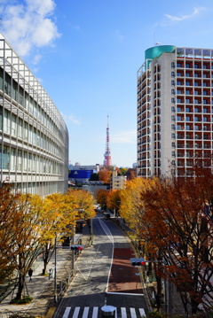 けやき坂