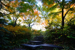 毛利庭園
