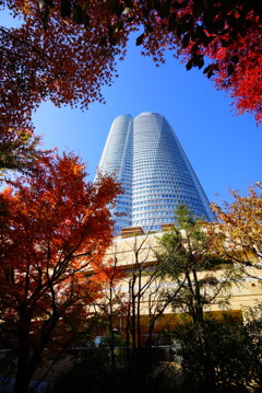 タワー